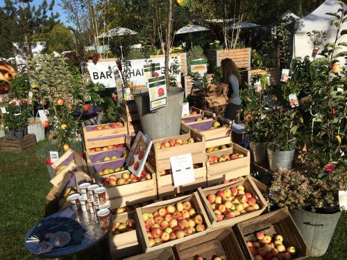 La Sauvagine Terre et Passion®