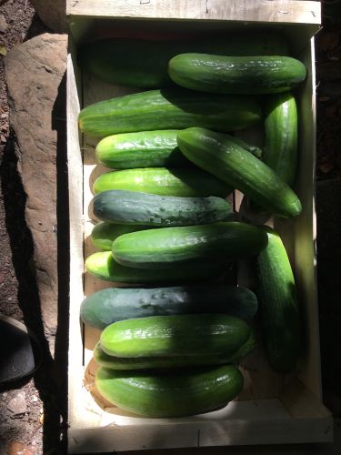 La Sauvagine Terre et Passion®