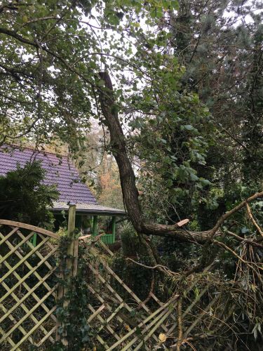 La Sauvagine Terre et Passion®