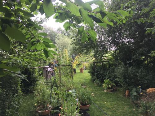 La Sauvagine Terre et Passion®