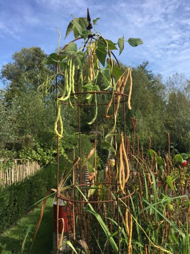 La Sauvagine Terre et Passion®