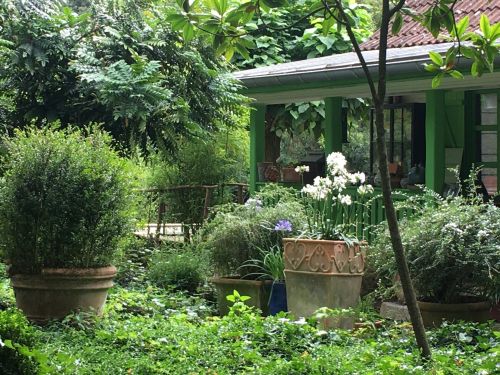 La Sauvagine Terre et Passion®