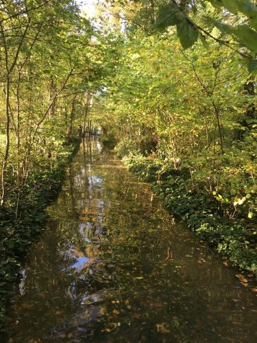 La Sauvagine Terre et Passion®