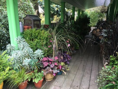 La Sauvagine Terre et Passion®