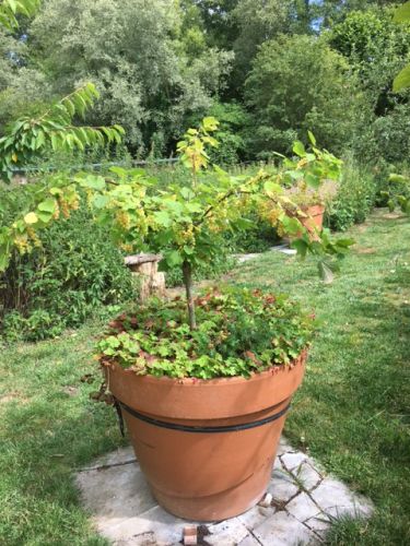 La Sauvagine Terre et Passion®