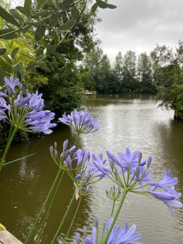 La Sauvagine Terre et Passion®