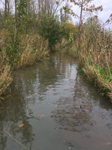 La Sauvagine Terre et Passion®