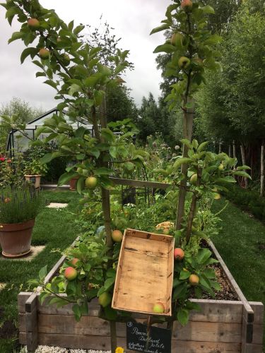 La Sauvagine Terre et Passion®