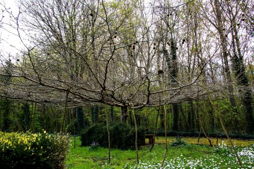 La Sauvagine Terre et Passion®