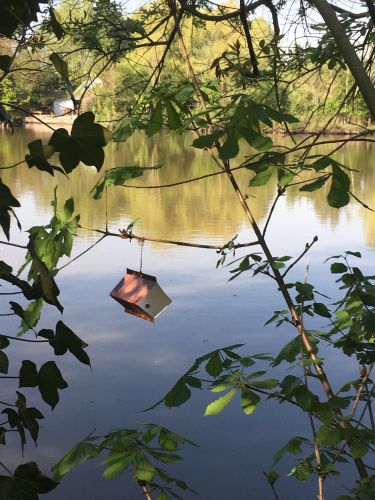 La Sauvagine Terre et Passion®