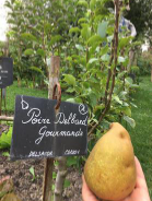 La Sauvagine Terre et Passion®