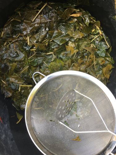 La Sauvagine Terre et Passion®