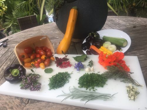 La Sauvagine Terre et Passion®