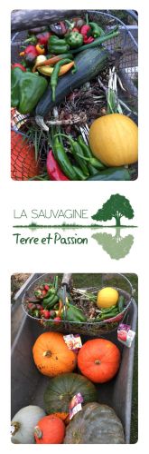 La Sauvagine Terre et Passion®