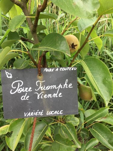 La Sauvagine Terre et Passion®