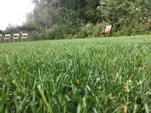 La Sauvagine Terre et Passion®