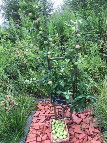 La Sauvagine Terre et Passion®