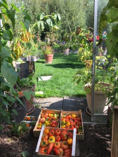 La Sauvagine Terre et Passion®