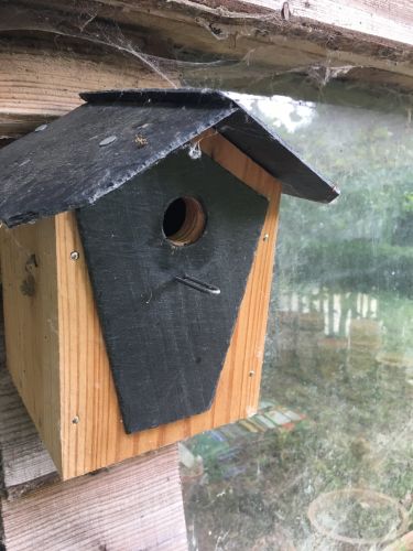 La Sauvagine Terre et Passion®