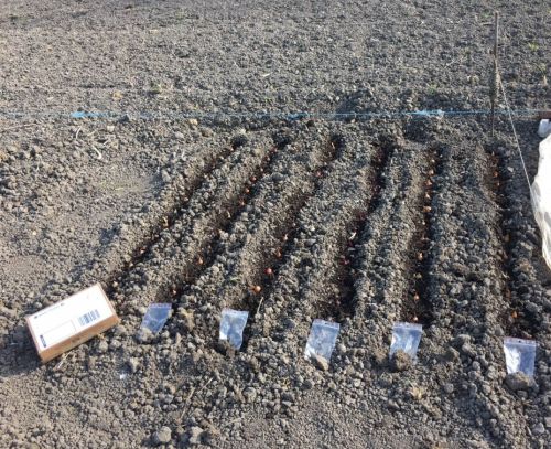 La Sauvagine Terre et Passion®