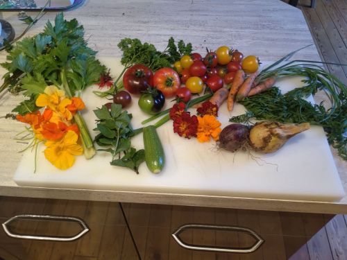 La Sauvagine Terre et Passion®