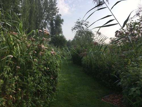 La Sauvagine Terre et Passion®