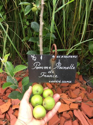 La Sauvagine Terre et Passion®