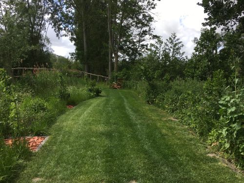 La Sauvagine Terre et Passion®