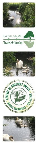 La Sauvagine Terre et Passion®
