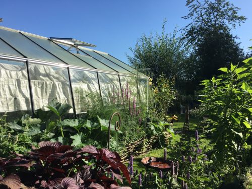 La Sauvagine Terre et Passion®