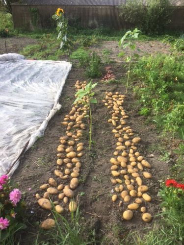 La Sauvagine Terre et Passion®