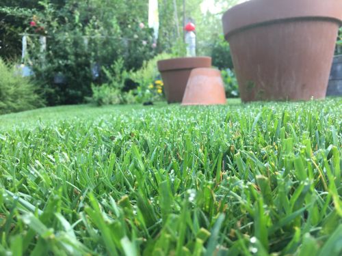 La Sauvagine Terre et Passion®