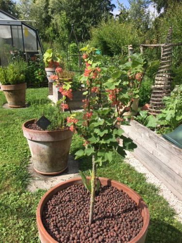 La Sauvagine Terre et Passion®