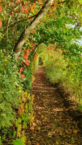 La Sauvagine Terre et Passion®