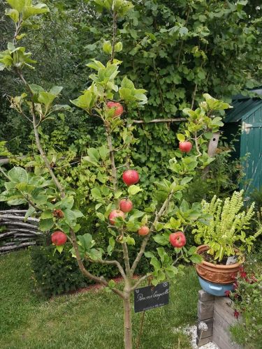 La Sauvagine Terre et Passion®