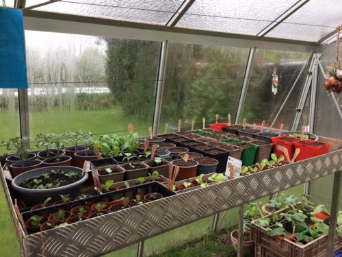 La Sauvagine Terre et Passion®