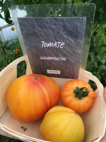 La Sauvagine Terre et Passion®