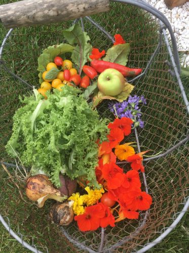 La Sauvagine Terre et Passion®