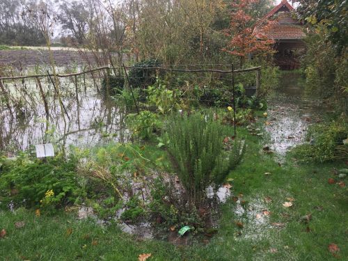 La Sauvagine Terre et Passion®