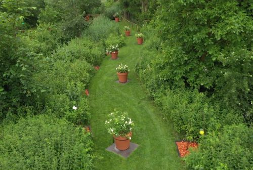 La Sauvagine Terre et Passion®