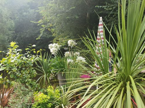 La Sauvagine Terre et Passion®