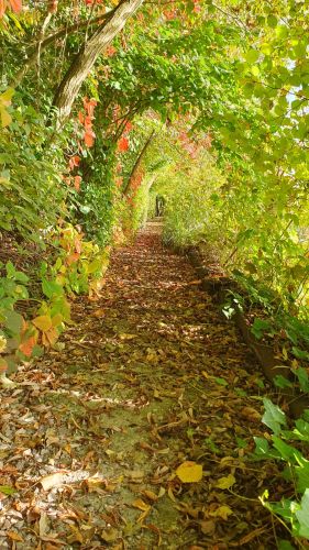 La Sauvagine Terre et Passion®
