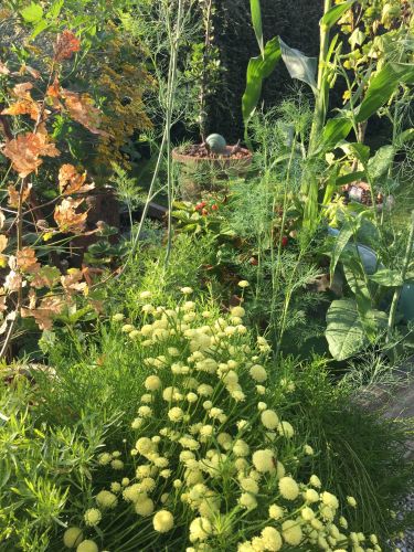 La Sauvagine Terre et Passion®