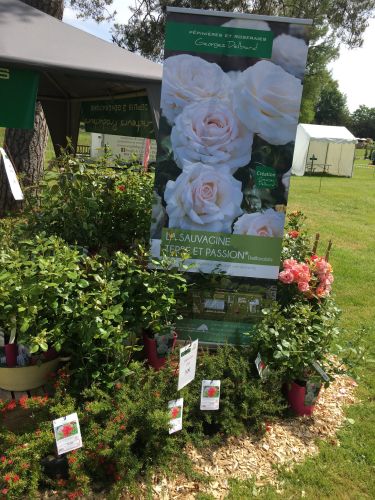 La Sauvagine Terre et Passion®