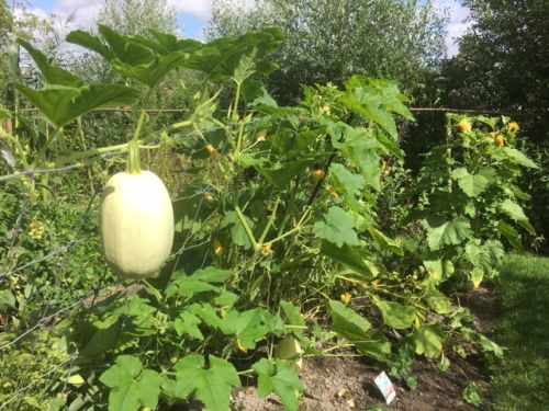 La Sauvagine Terre et Passion®