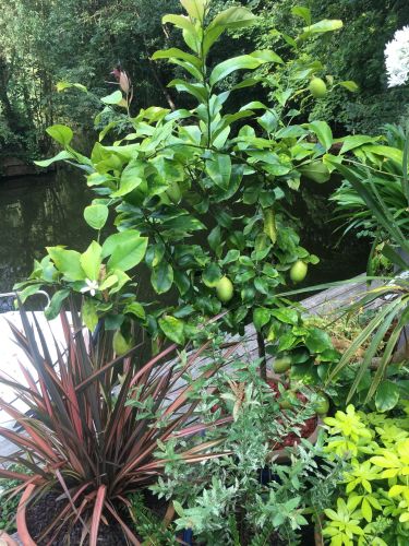 La Sauvagine Terre et Passion®