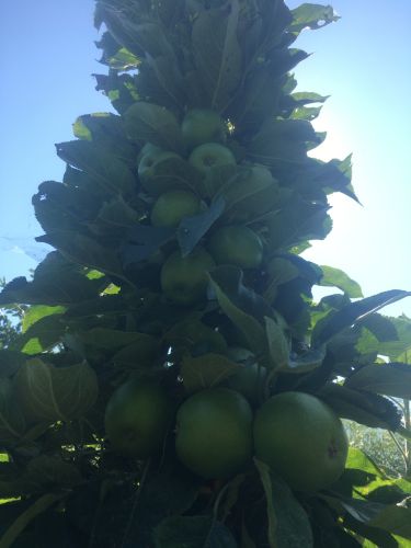 La Sauvagine Terre et Passion®