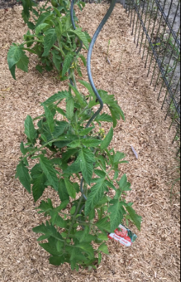 La Sauvagine Terre et Passion®