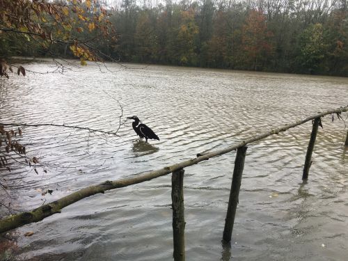 La Sauvagine Terre et Passion®