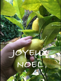 La Sauvagine Terre et Passion®